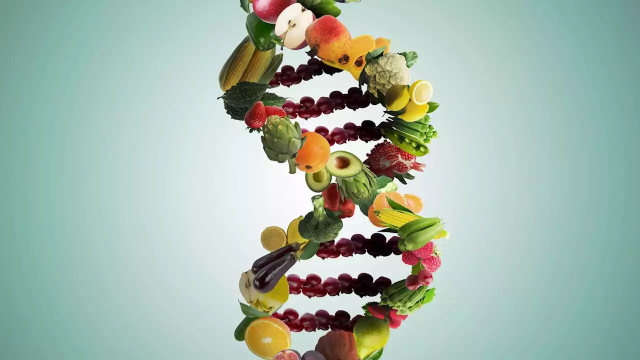 Could tailoring our diet to our genes really be the key to better health?