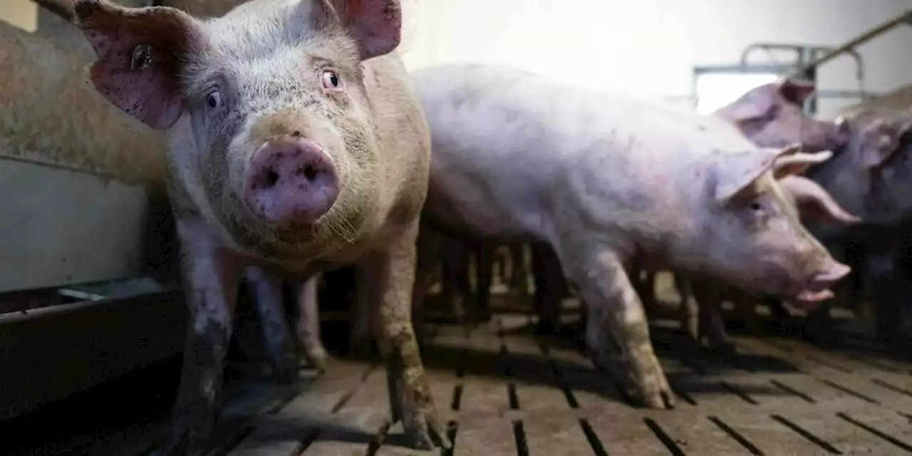 Erster Bürgerrat für Ernährung: Was gibt es zu essen?