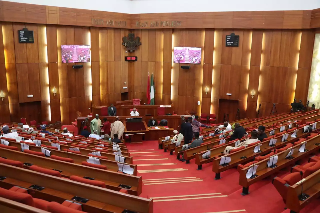 ACF chieftain: Why south-east should not seek senate presidency | TheCable