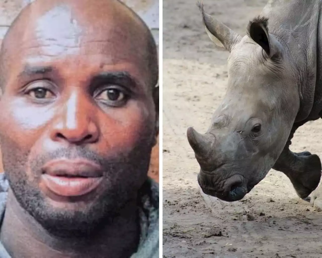 Cops snare one of SA's most wanted rhino poaching suspects | The Citizen