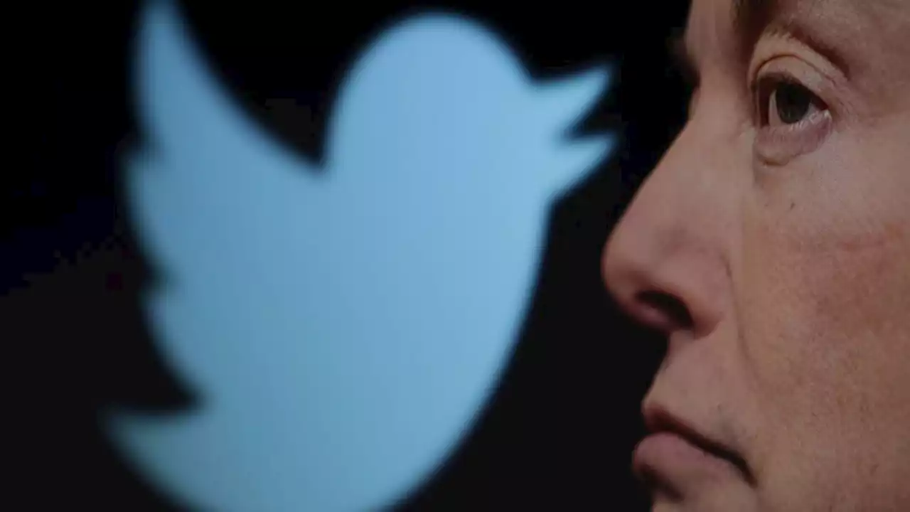 Video and audio calls coming to Twitter: Elon Musk