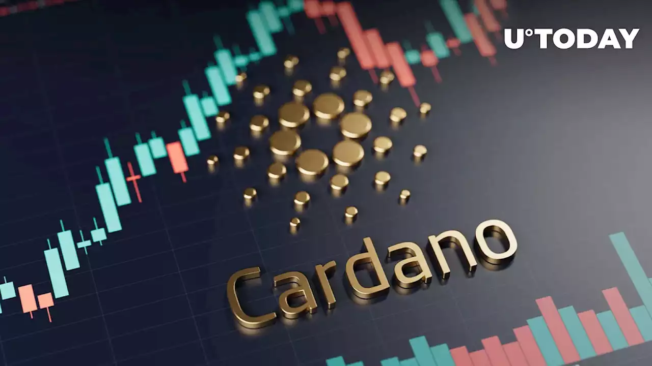 Cardano (ADA) Investors Lose Big as 80% Out of Money