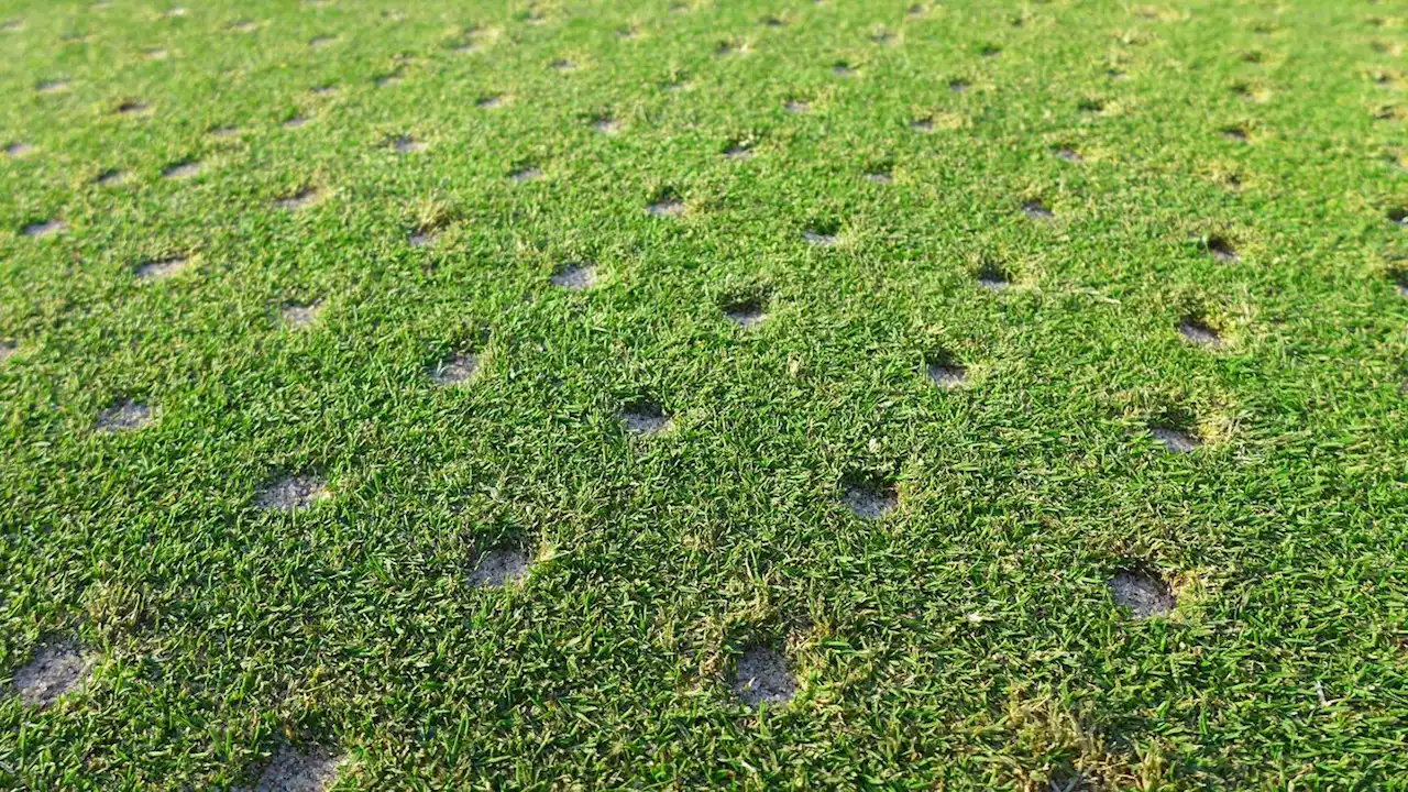 College golfer sets course record in U.S. Open qualifier, then disqualifies himself