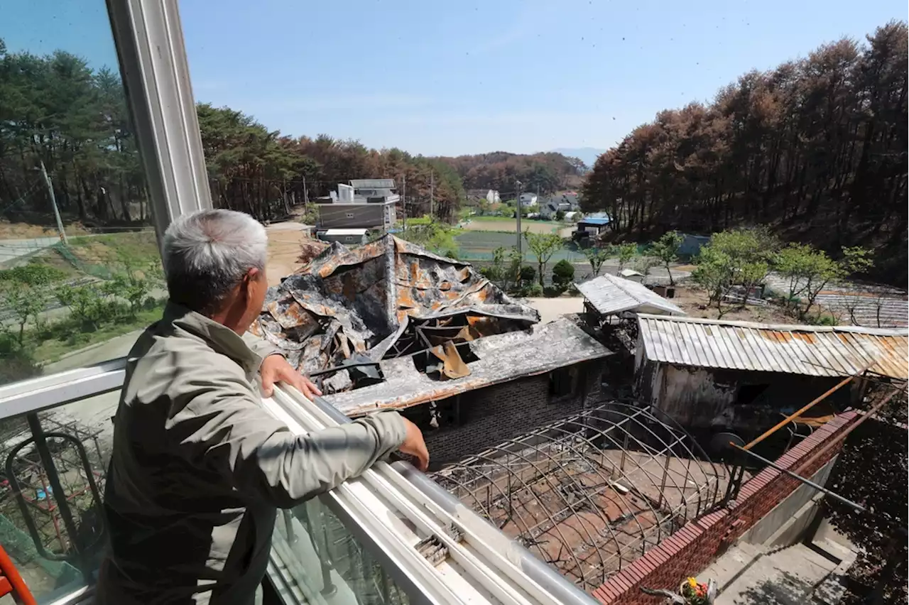 [강릉산불 한달] ② 산에도 마음에도 상흔 여전…'애써 덤덤하지만 막막' | 연합뉴스