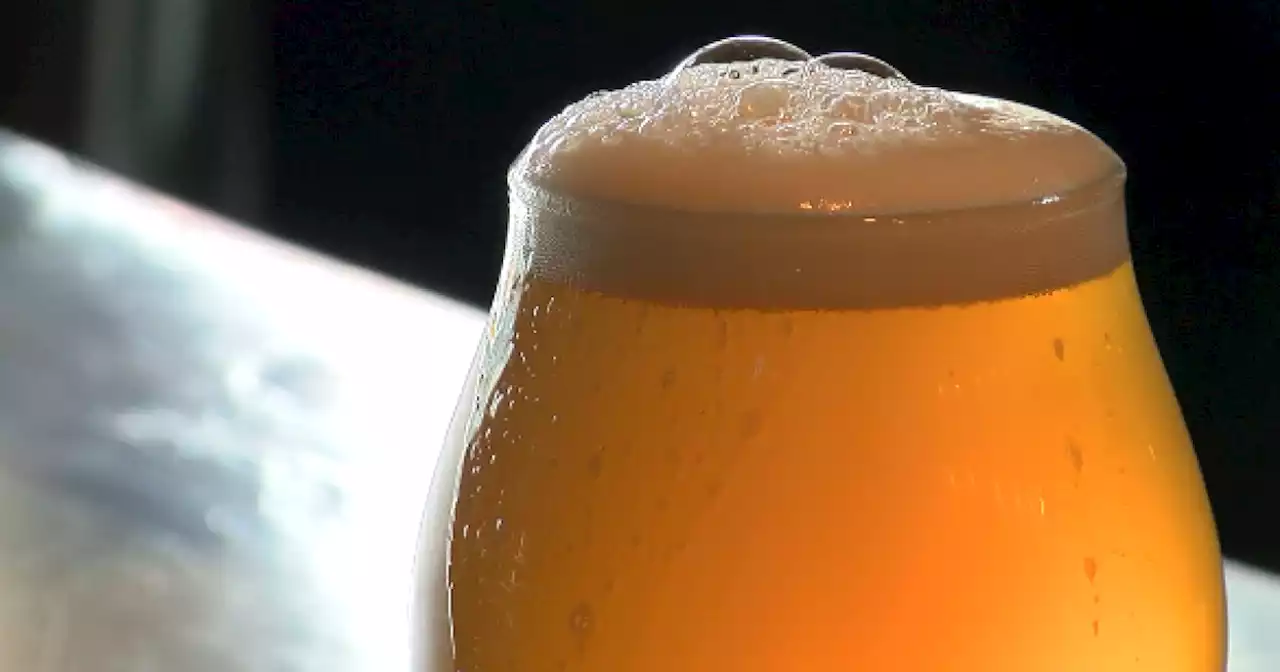 Several San Diego craft breweries earn gold medals at 2023 World Beer Cup