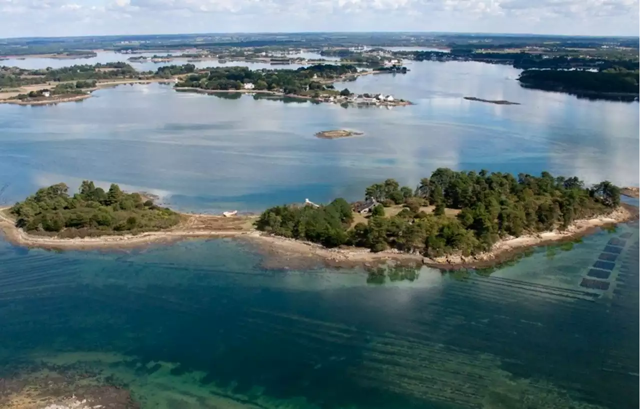 Une île privée située dans le Morbihan cherche un nouveau propriétaire