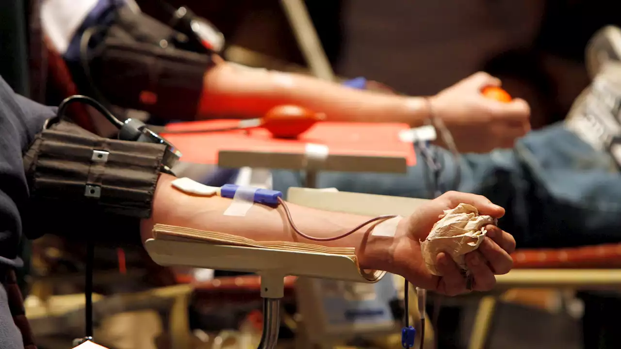 New blood donation rules allow more gay, bisexual men to give in US