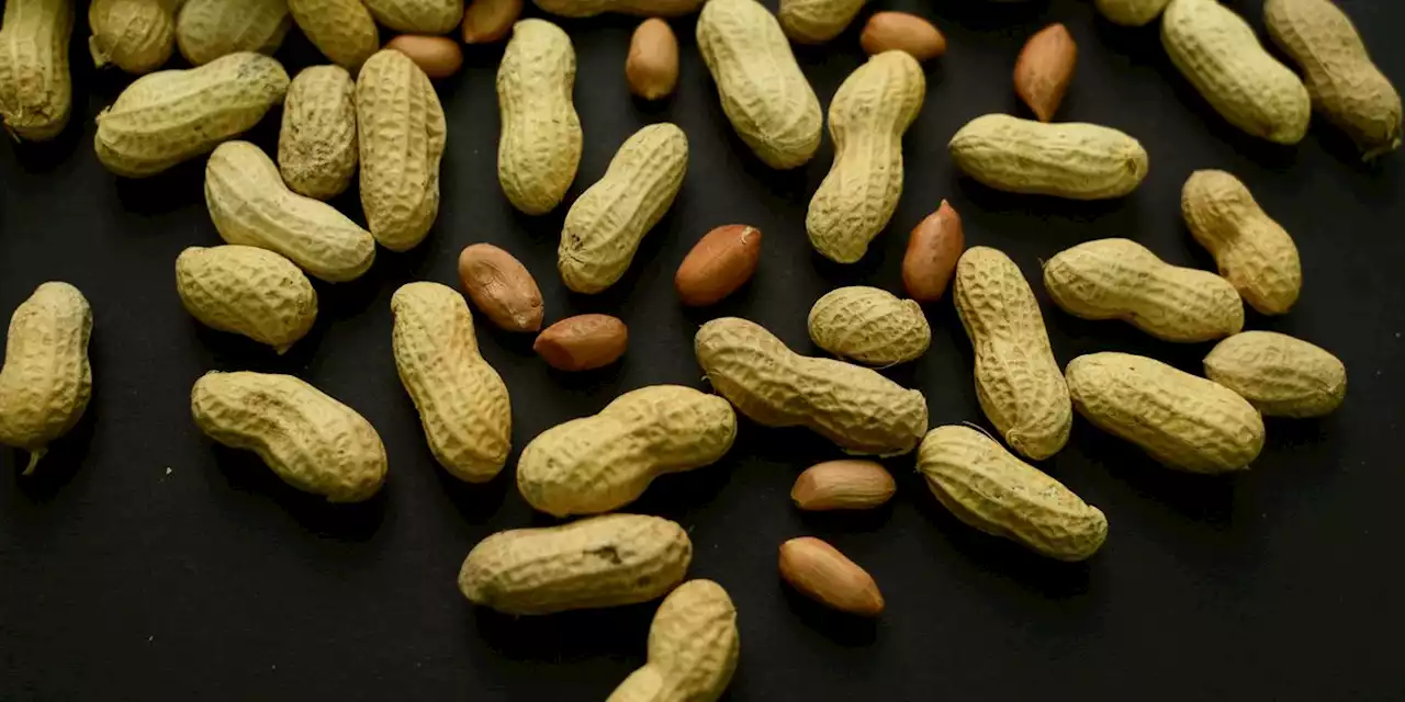 A skin patch to treat peanut allergies? Study in toddlers shows promise