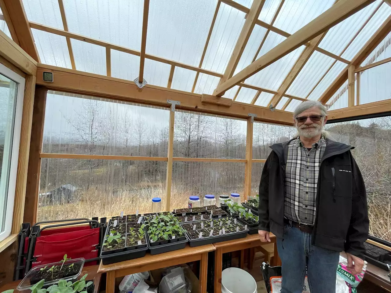 One gardener’s ambitious plan to plant half a million carrots is growing Kodiak’s local food movement