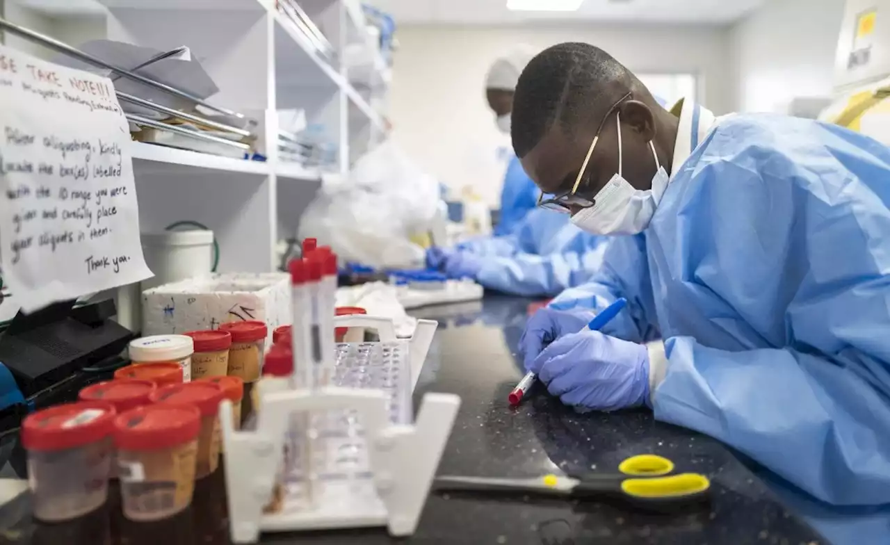 African Scientists Are Working to Pool Data That Decodes Diseases - a Giant Step