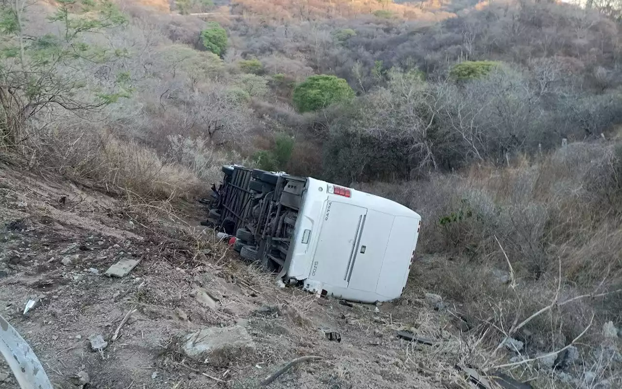 Video | Camión con equipo de futbol infantil cae a un barranco en Guadalajara; hay un muerto