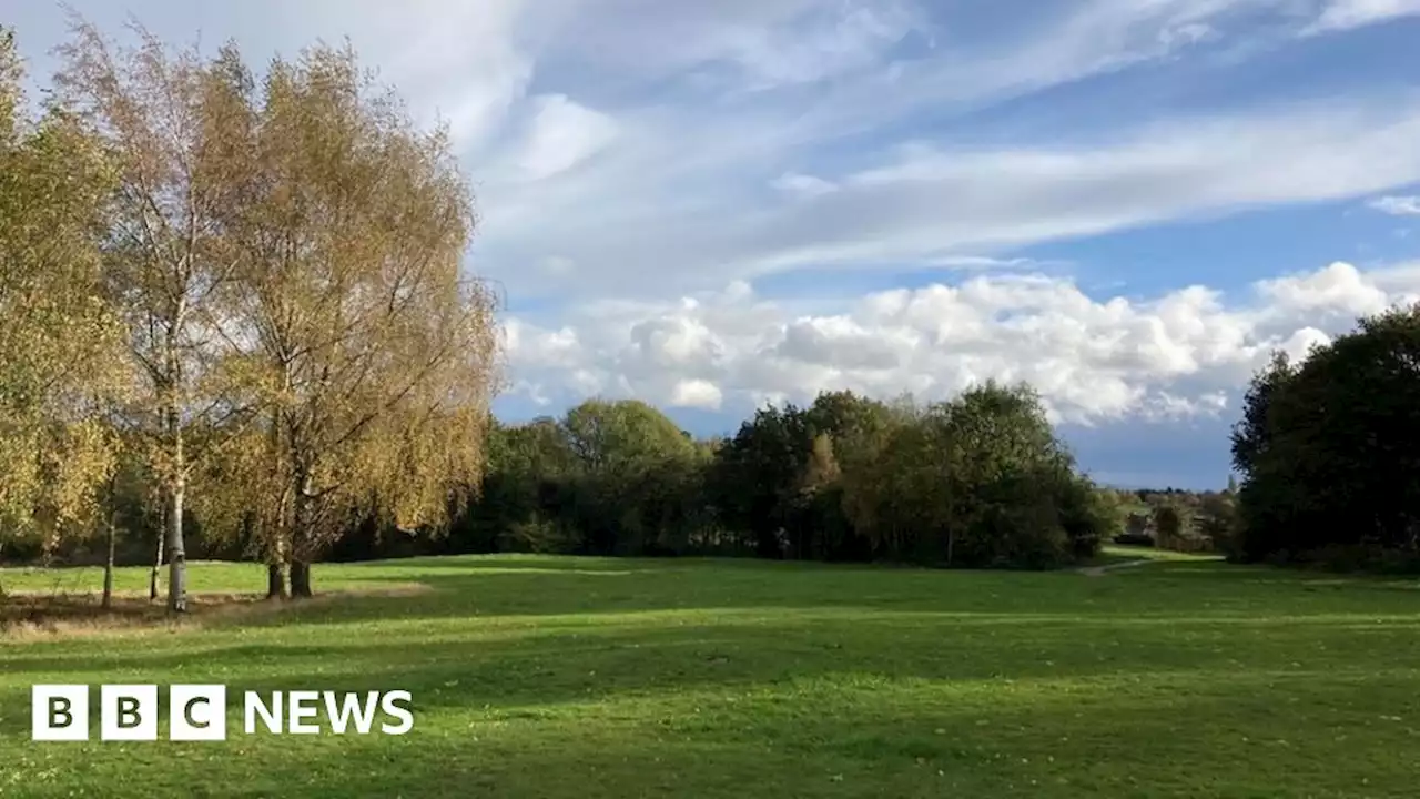 Allestree Park: Walking tour to address rewilding concerns