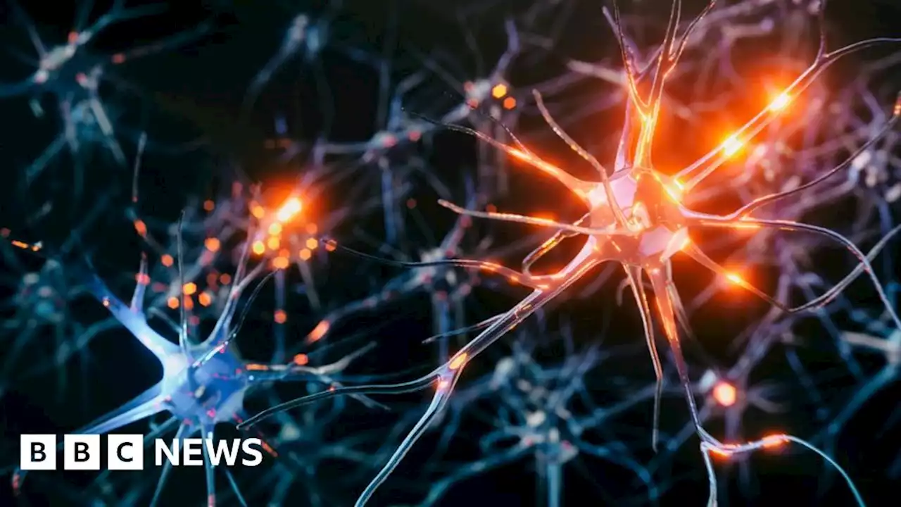 Parkinson's disease: New research could reveal early causes