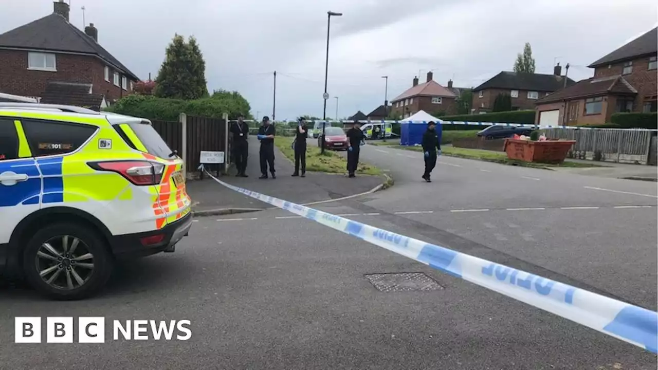 Sheffield murder arrests as fatal stab victim, 19, is named