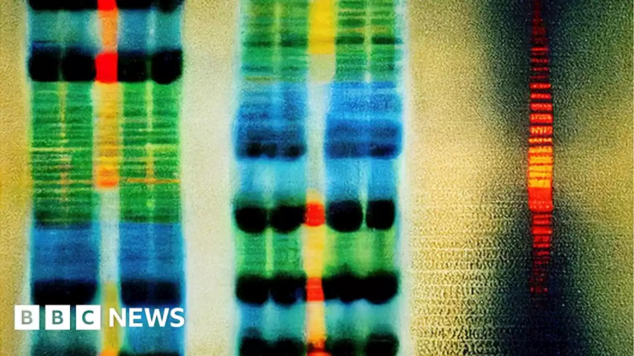 Updated DNA map better reflects human diversity