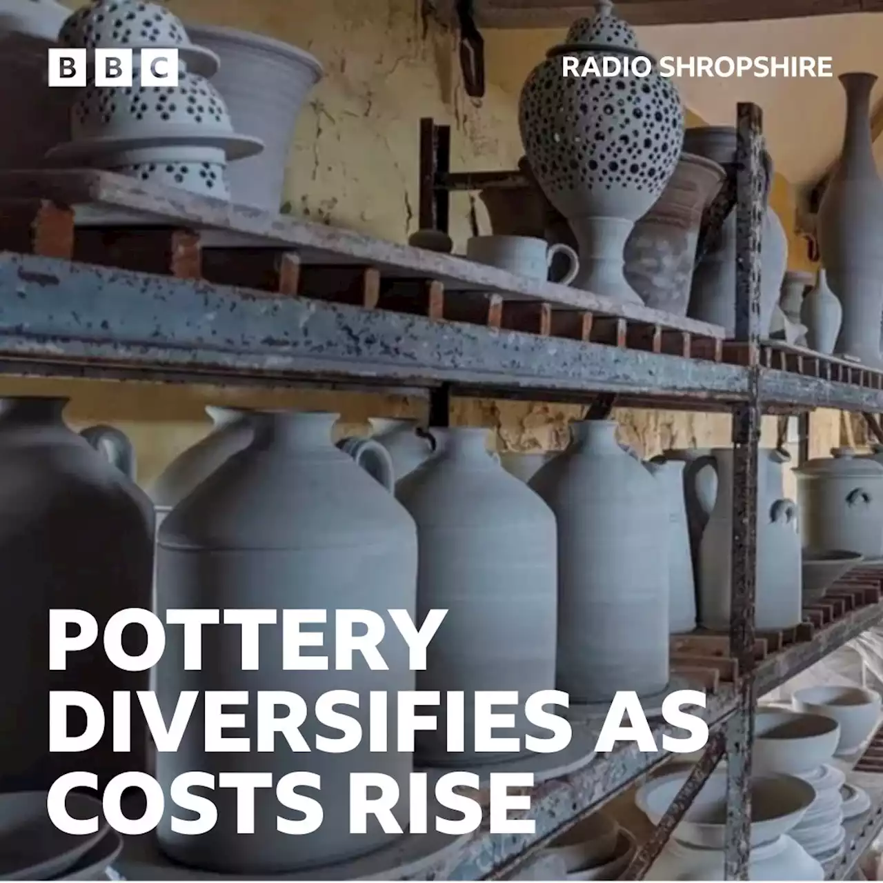 Much Wenlock potter diversifies to combat soaring costs