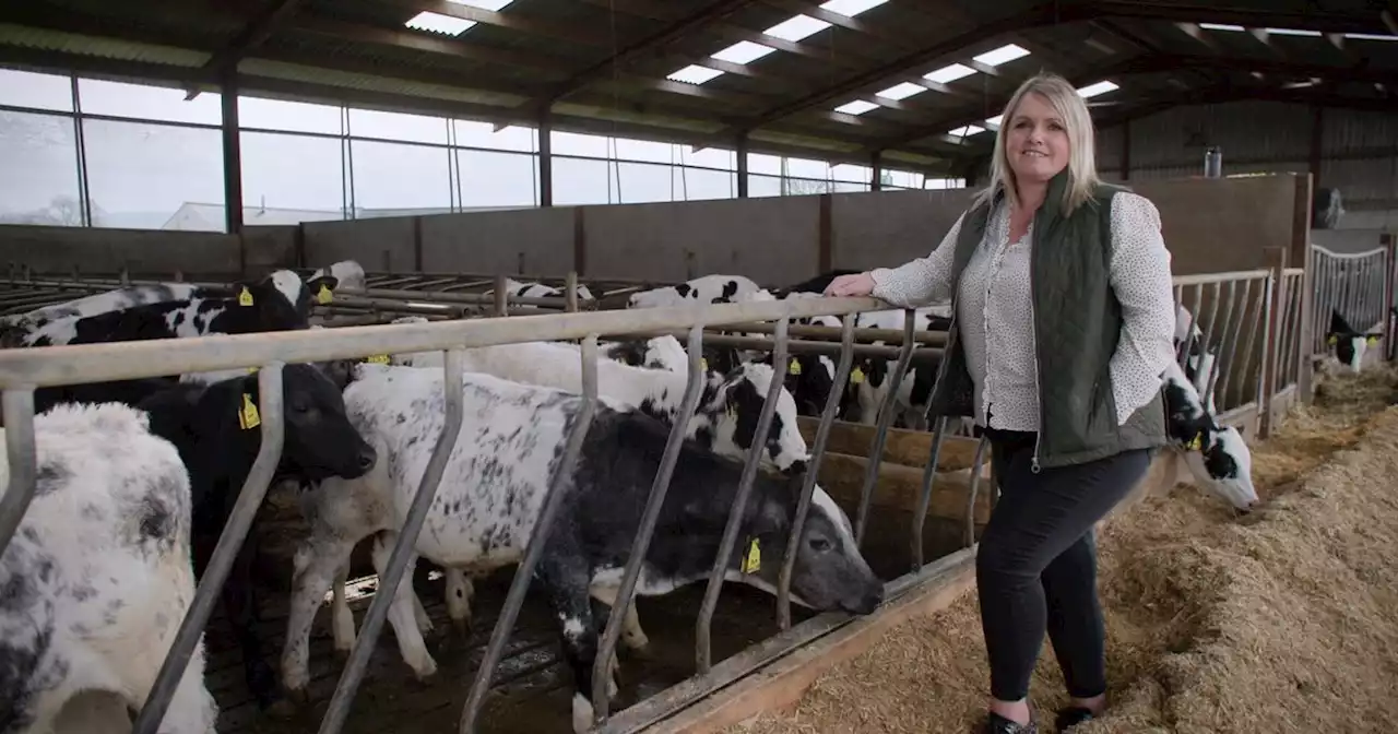 Farmer and UUP councillor on encouraging more women into politics