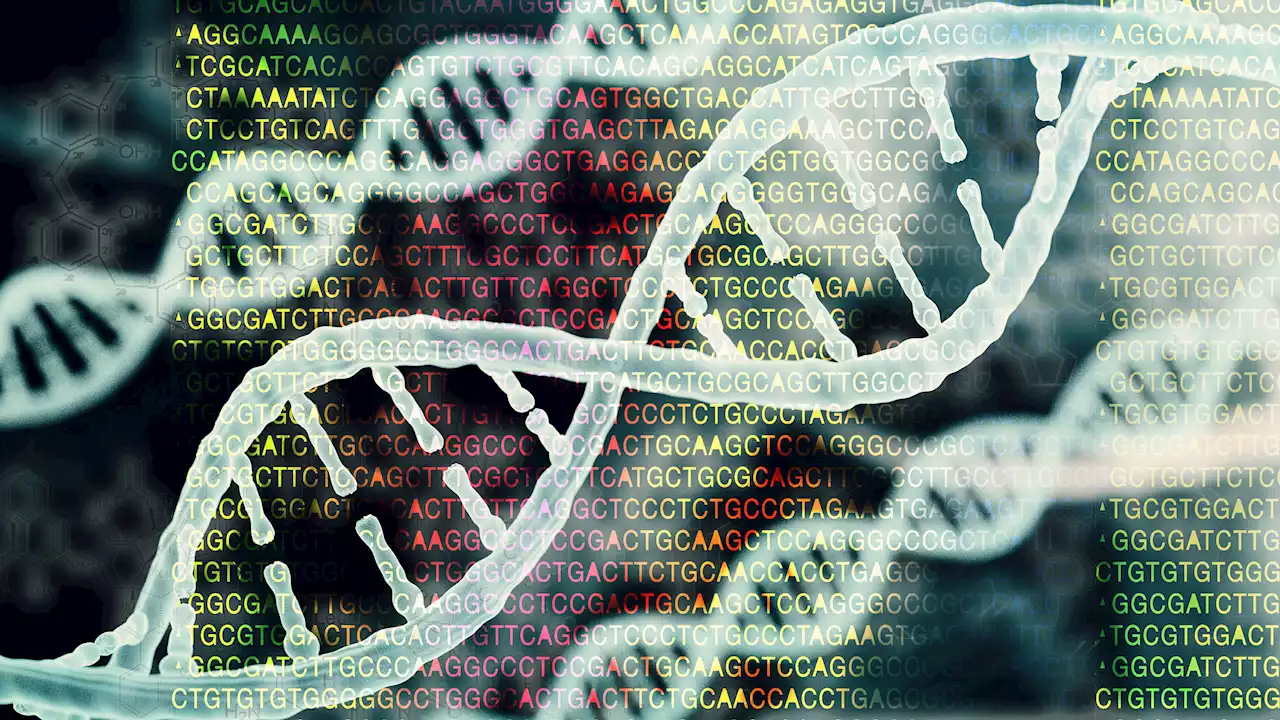 Scientists debut a more inclusive draft of the human genome