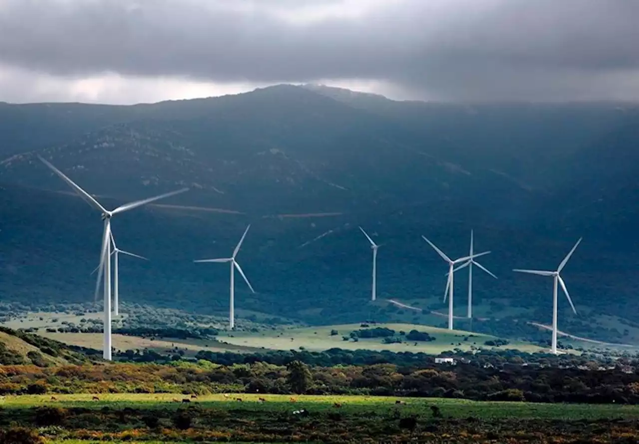 Audax mejora un 18% su resultado neto en el primer trimestre, hasta 2,3 millones