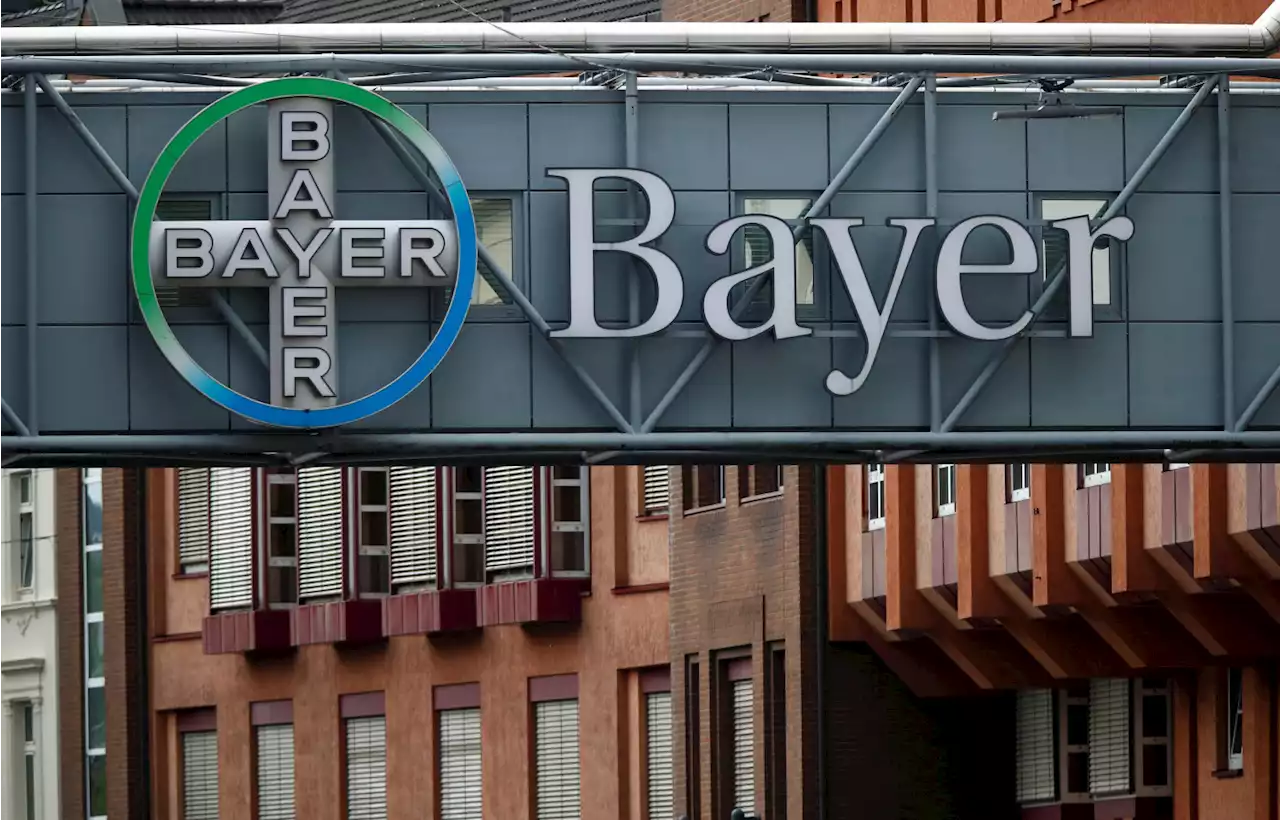 Bayer ganó 2.178 millones de euros en el primer trimestre de 2023, un 33,8% menos