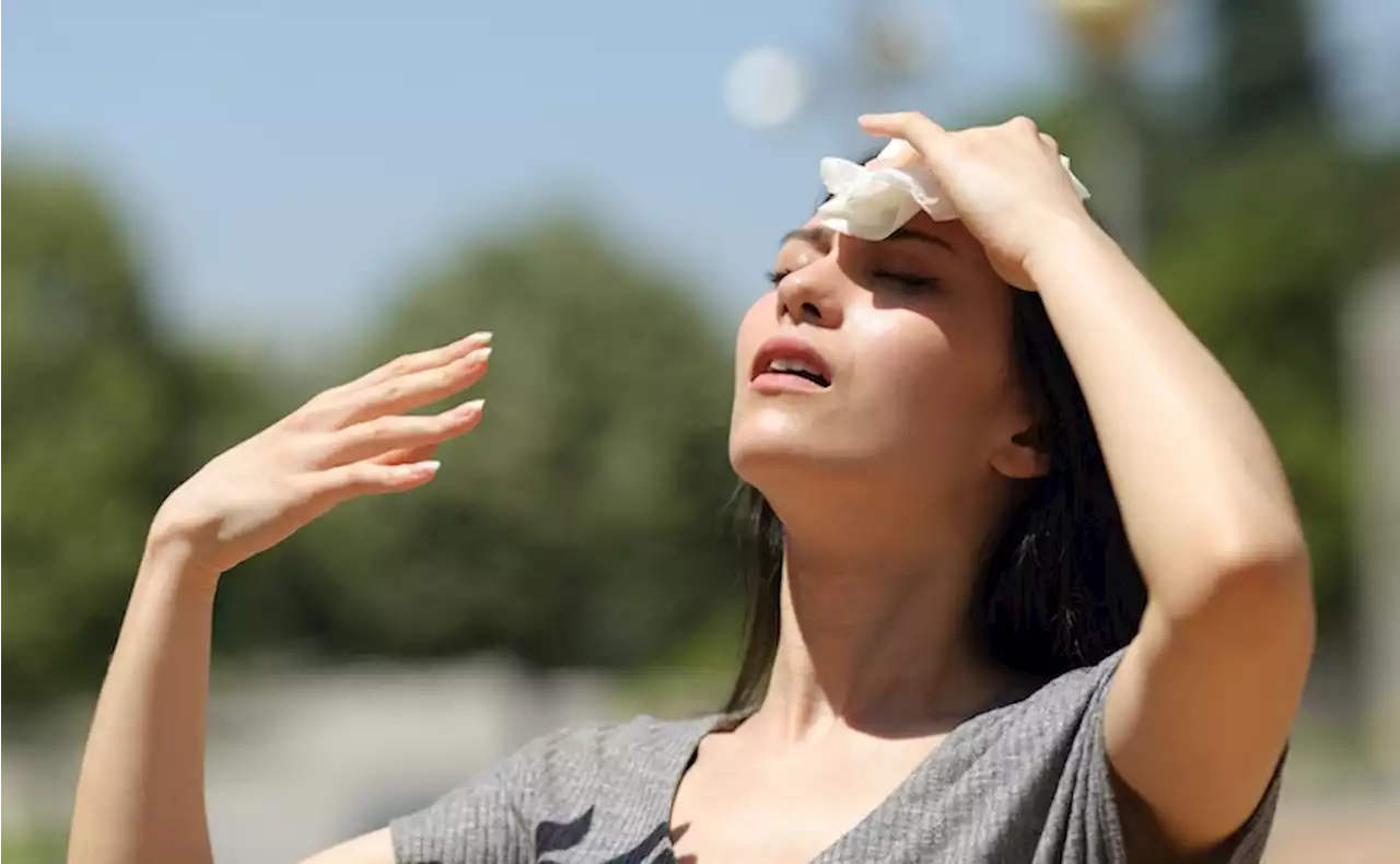 '16 degrees above normal': Environment Canada warns of upcoming Metro Vancouver heat