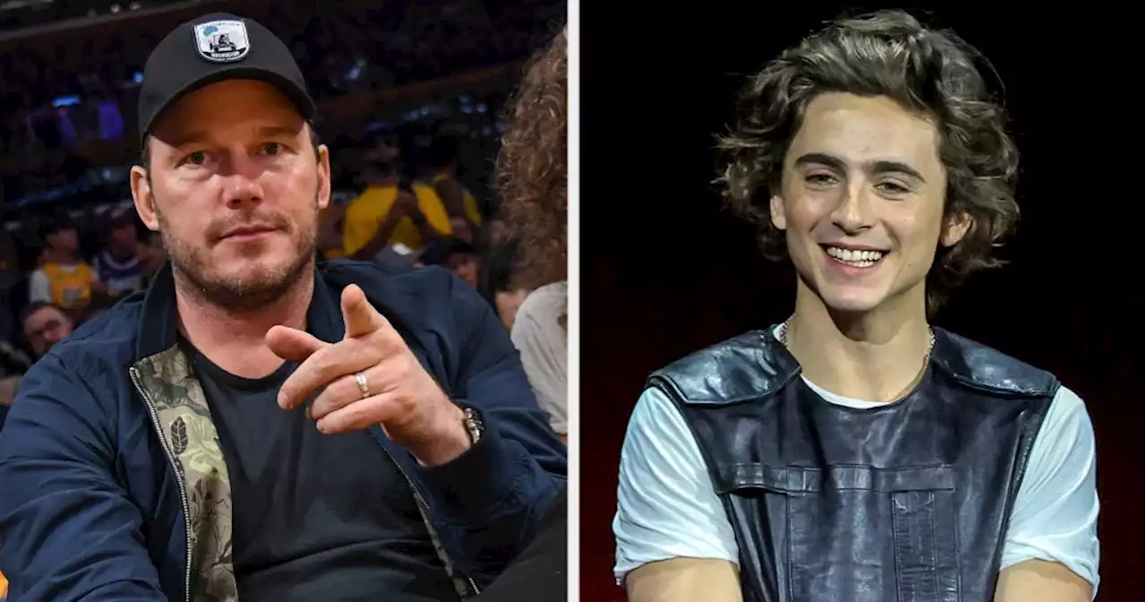 Christ Pratt Called Timothée Chalamet “America’s Tastiest Snack”