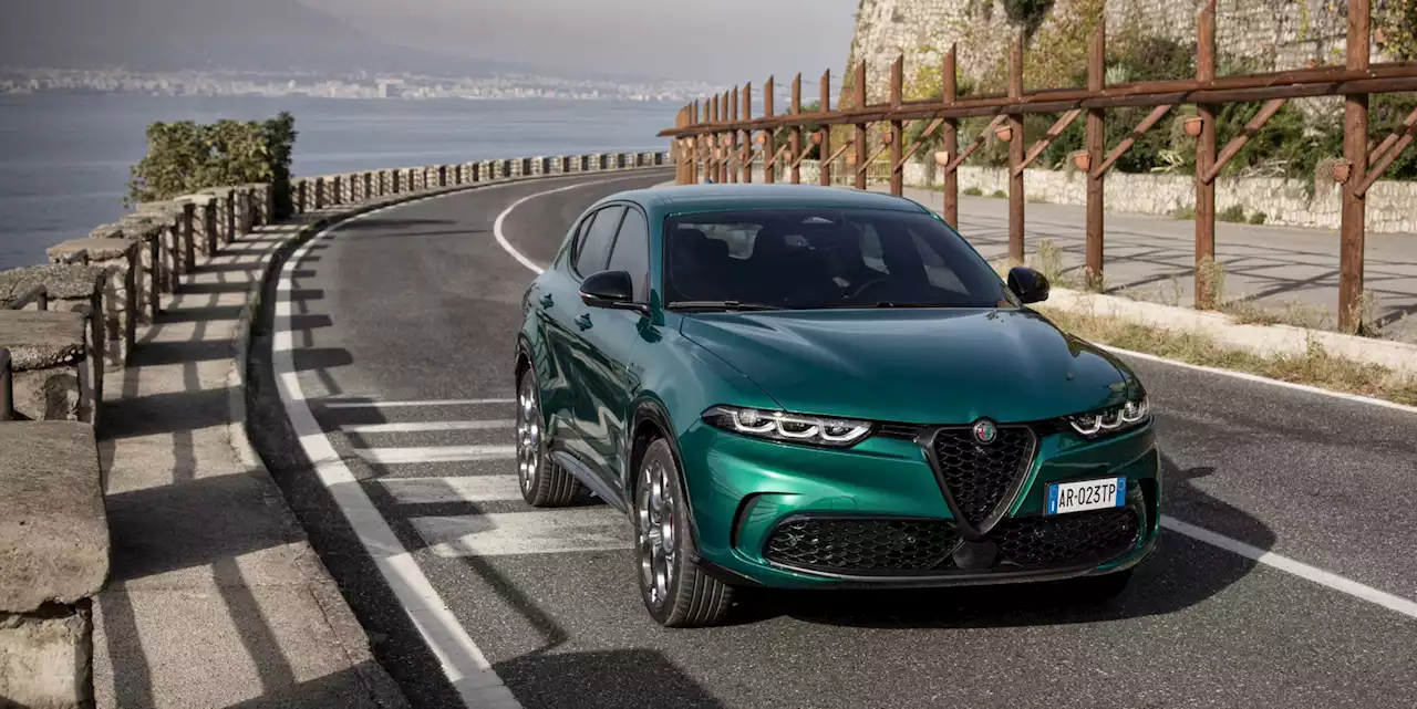 2024 Alfa Romeo Tonale SUV Is Not a Baby Stelvio