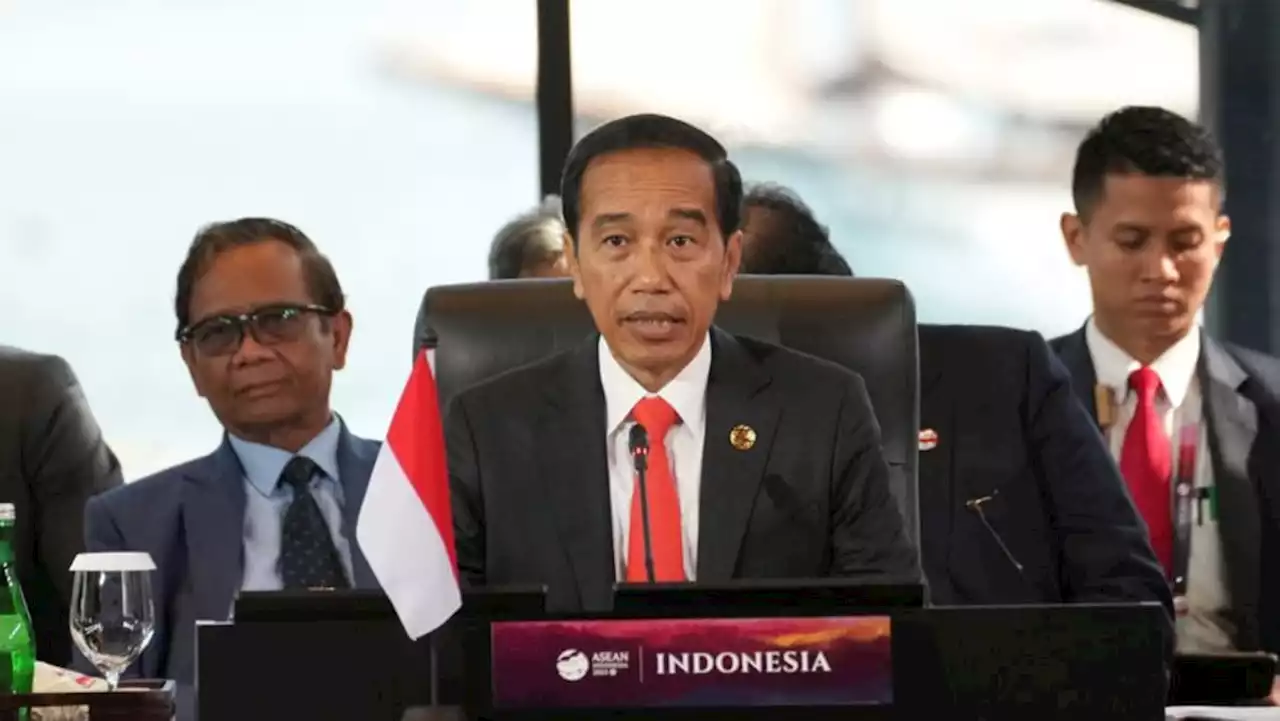 ASEAN must show unity to tackle Myanmar's escalating crisis, Indonesia president says