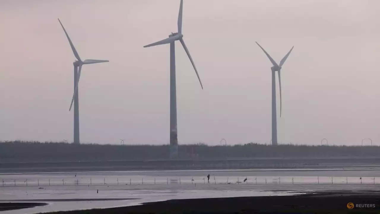 Taiwan's wind industry braves cross-strait risks in clean energy boom