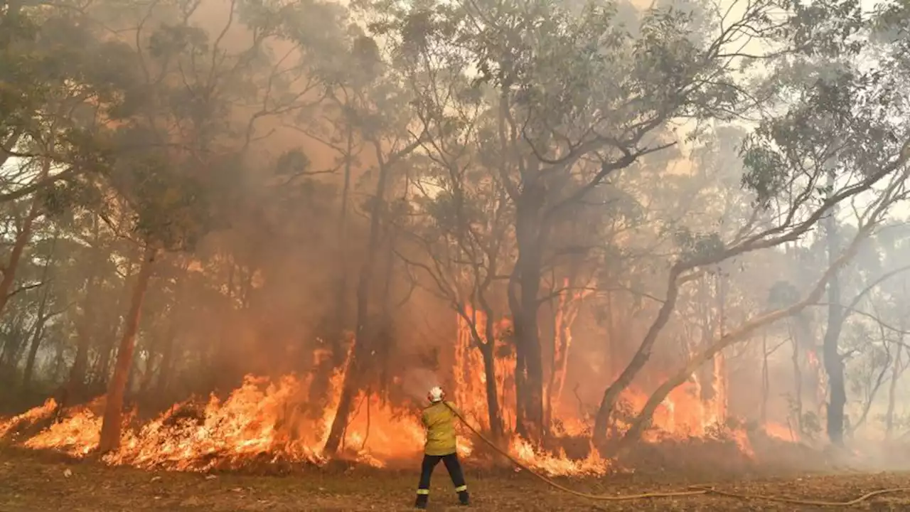 Australia's colossal bushfires likely made La Niña worse, study finds | CNN