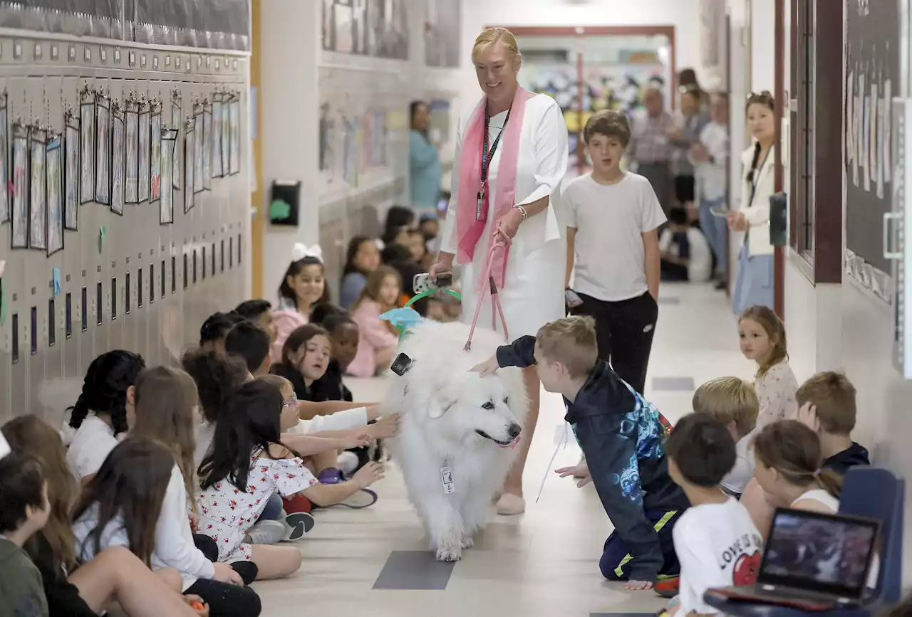 Lake Villa school superintendent and her big, fluffy emotional support dog ending 7-year run