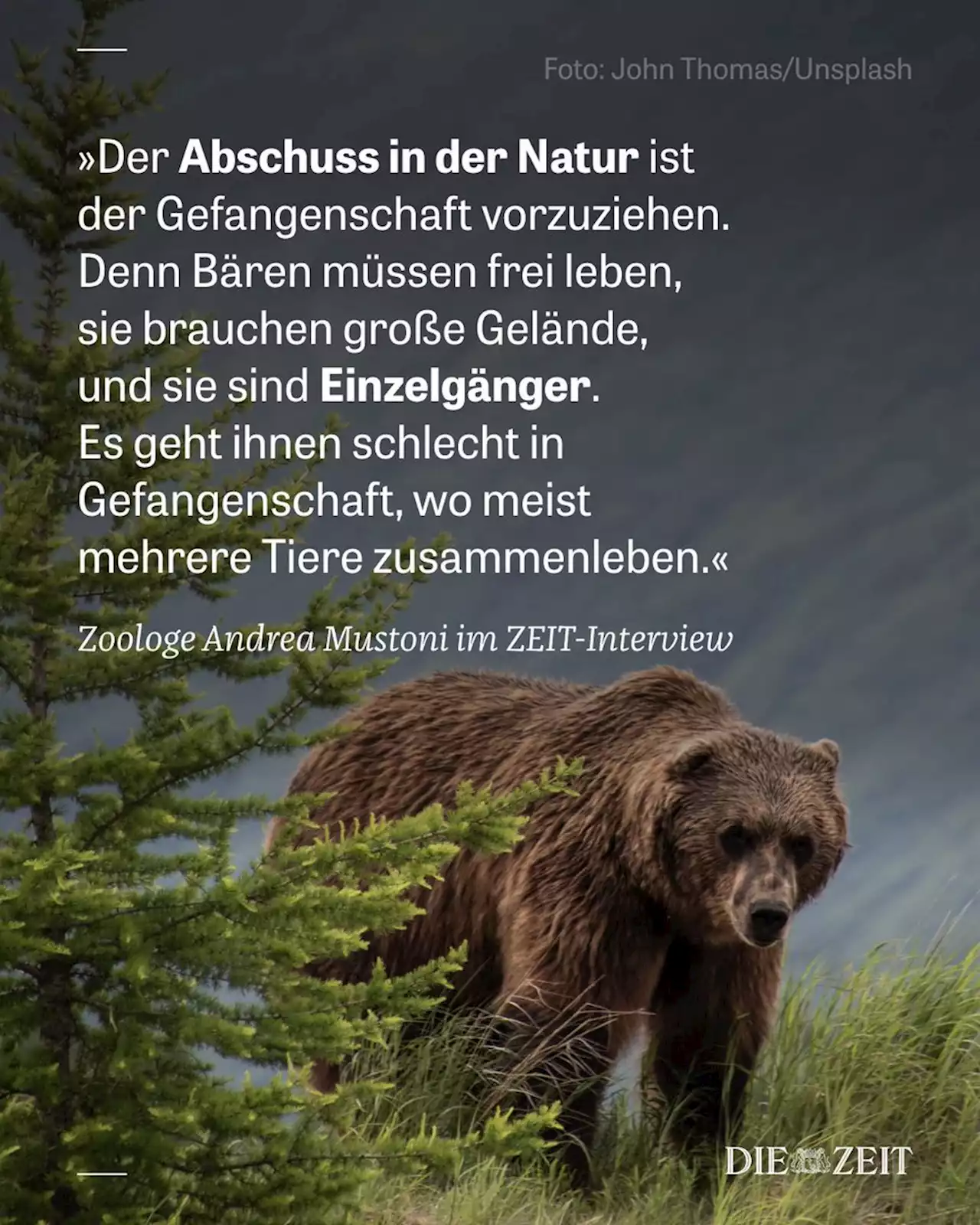 ZEIT ONLINE | Lesen Sie zeit.de mit Werbung oder im PUR-Abo. Sie haben die Wahl.