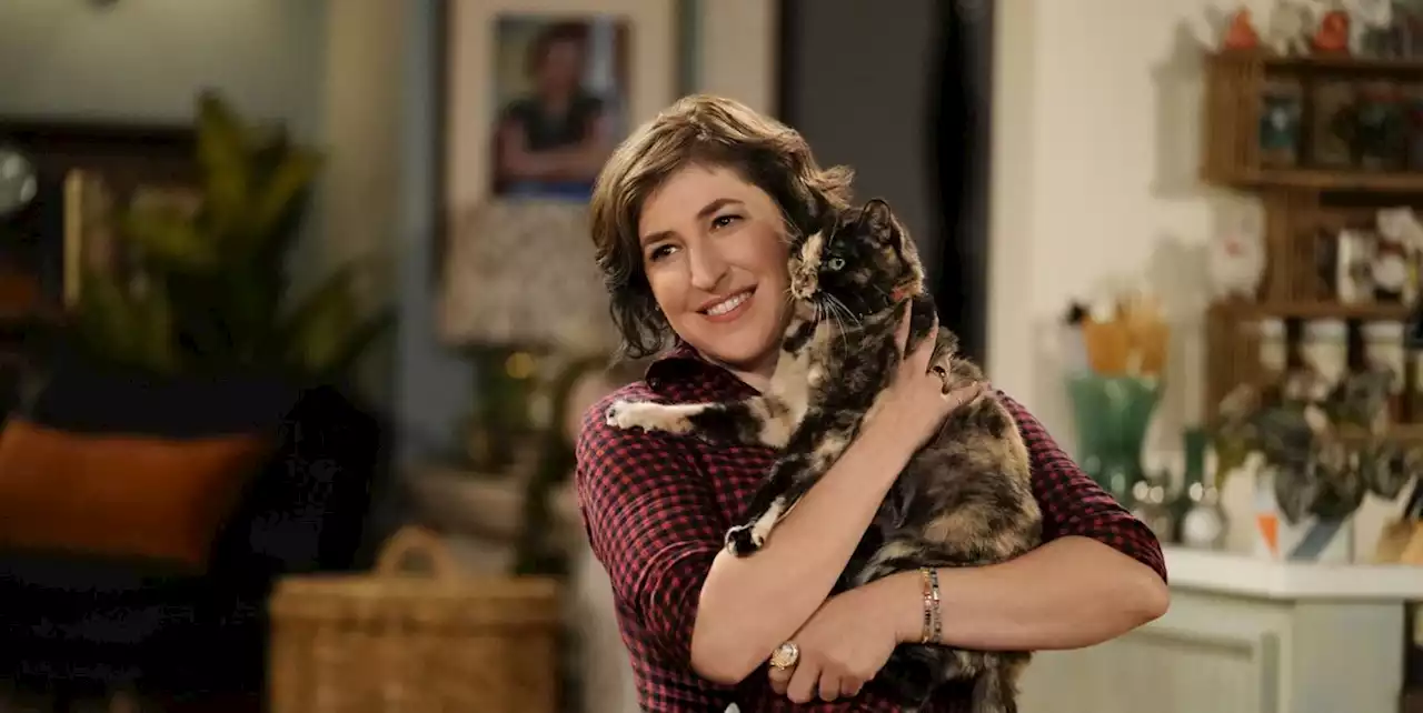 Big Bang Theory's Mayim Bialik reveals dream Call Me Kat ending after cancellation