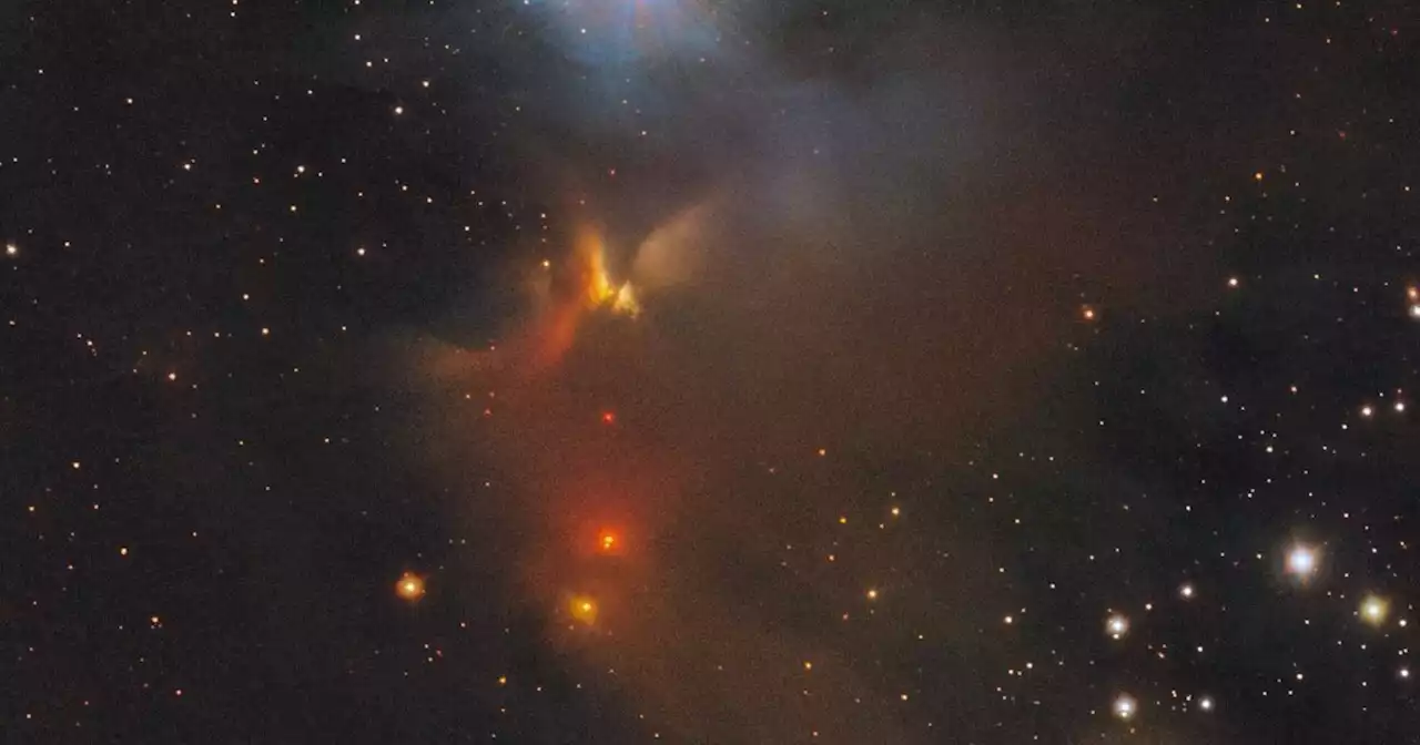 One million images form an atlas of star birth | Digital Trends