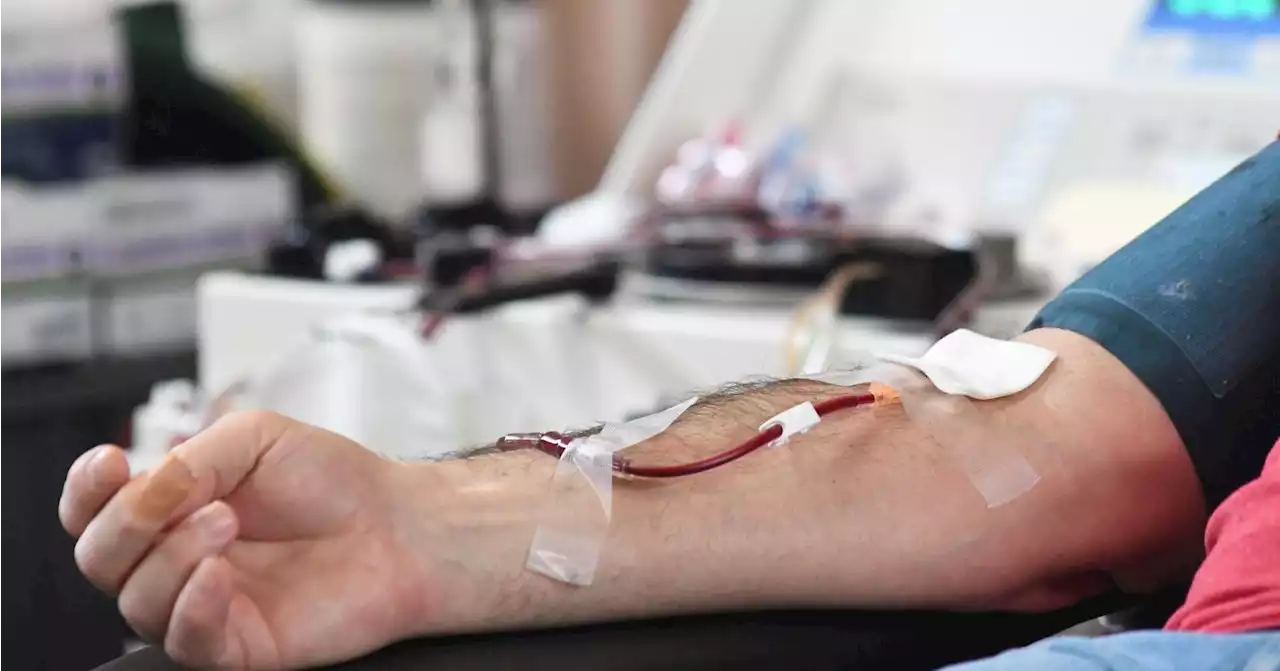 New blood donation rules allow more gay men to give in US