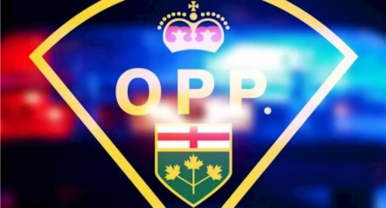 OPP officer fatally shot near Ottawa; two others injured