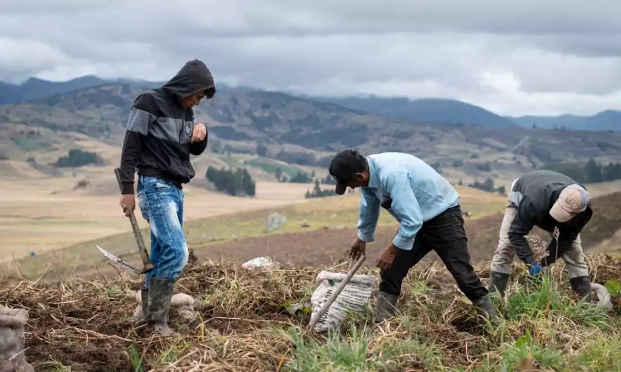 Plenaria de la Cámara aprueba la jurisdicción agraria: esto es lo que viene ahora