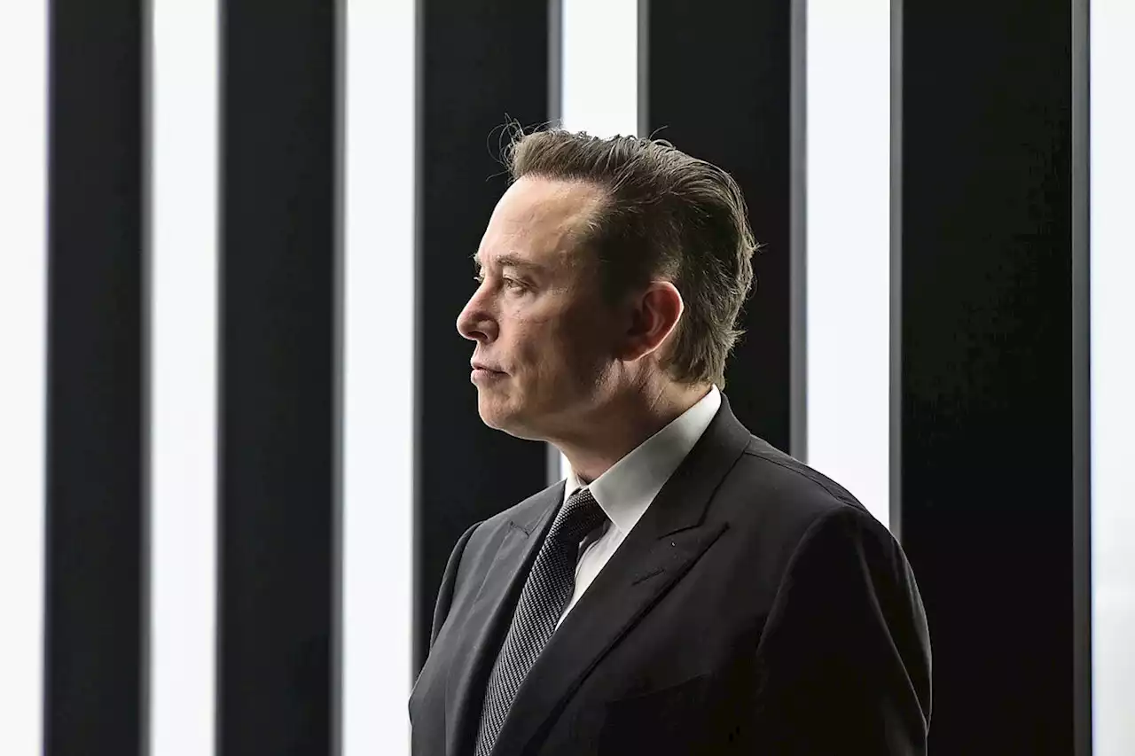 Elon Musk designa a una nueva CEO para Twitter