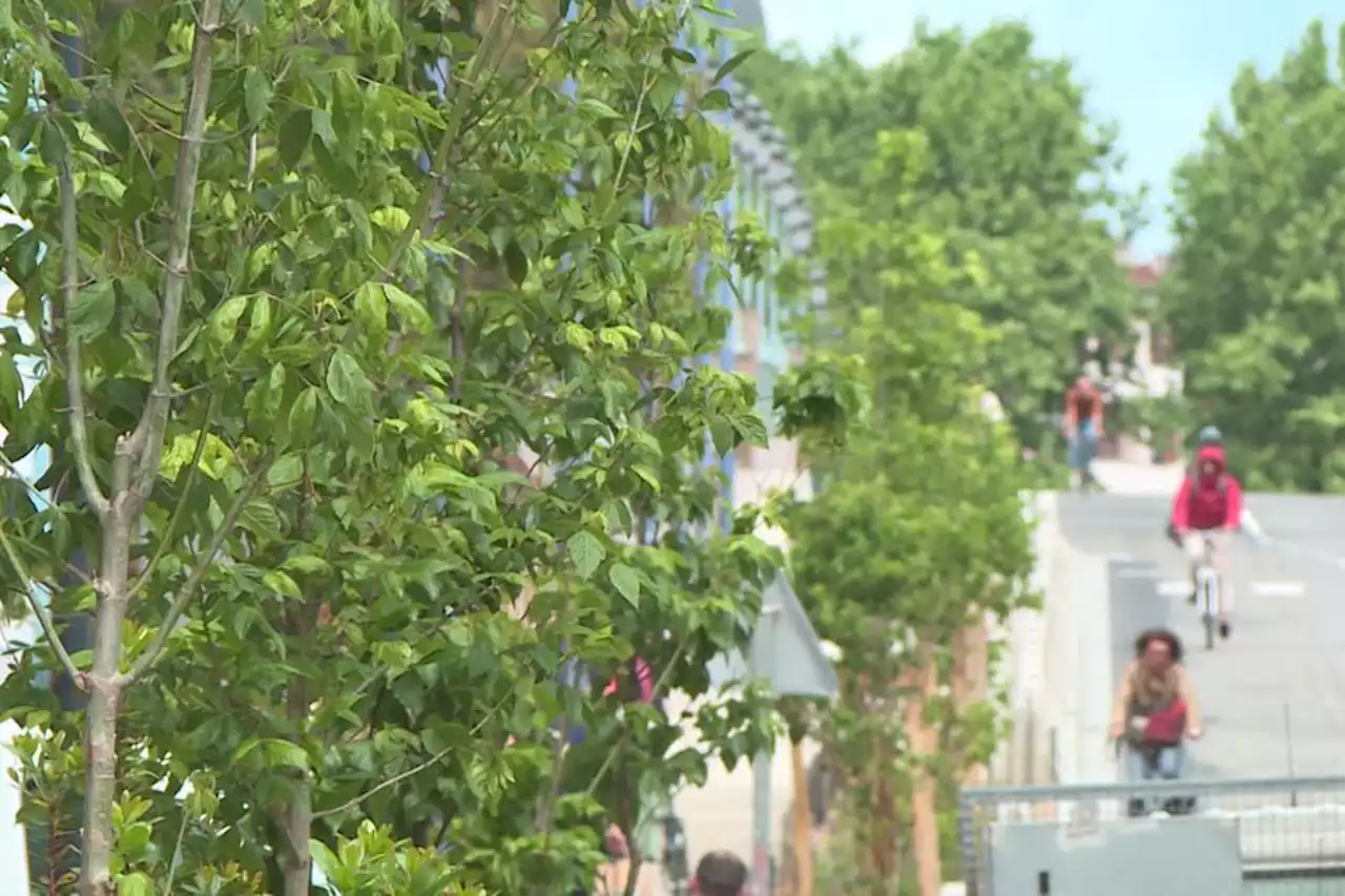 Toulouse + fraîche : 30 mesures nouvelles pour affronter les canicules et transformer notre ville dès cet été