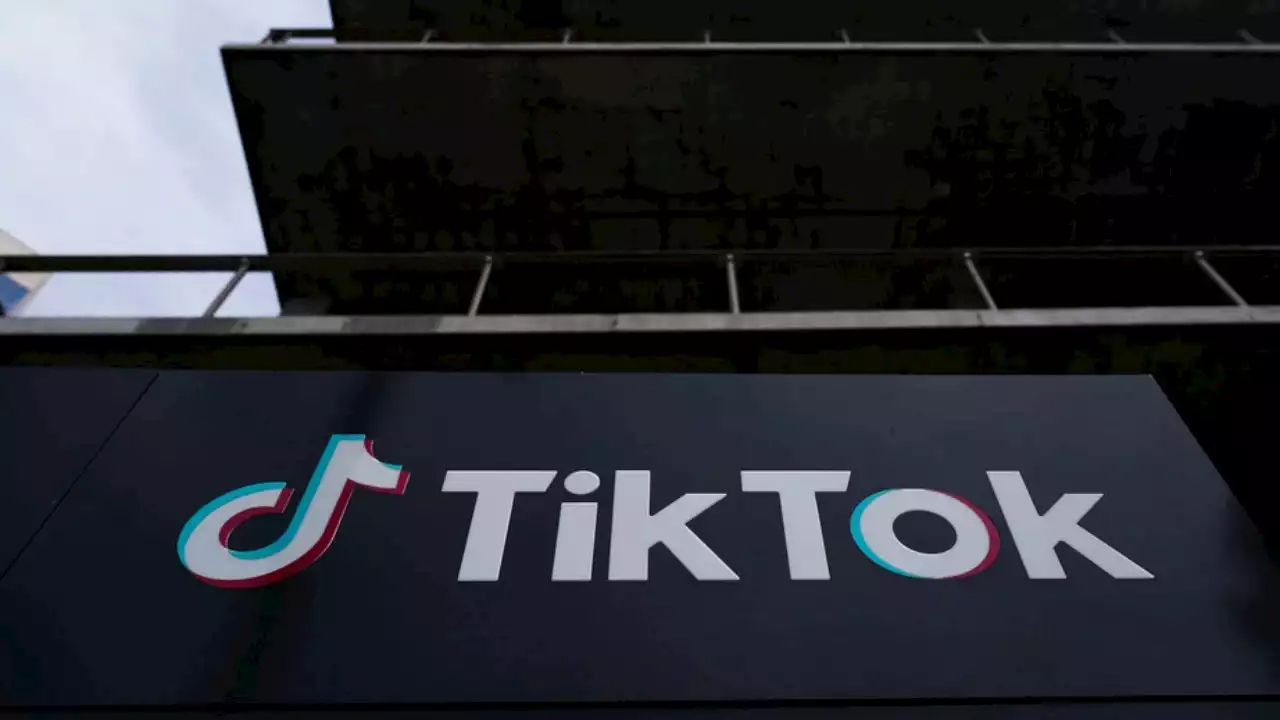 TikTok employees say app tracked users who watched gay content: report