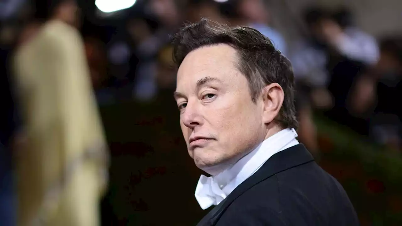 Elon Musk Says He's Hired a New Twitter CEO