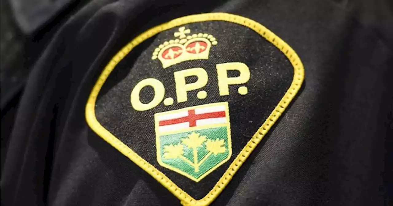 OPP officer killed, 2 others injured in shooting in eastern Ontario community | Globalnews.ca