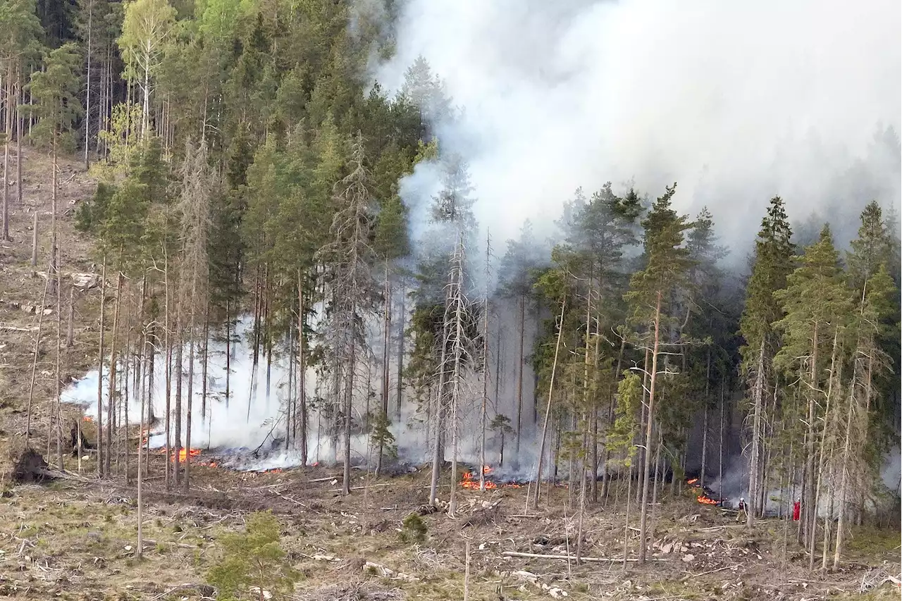 Flera skogsbränder i Göteborgsområdet