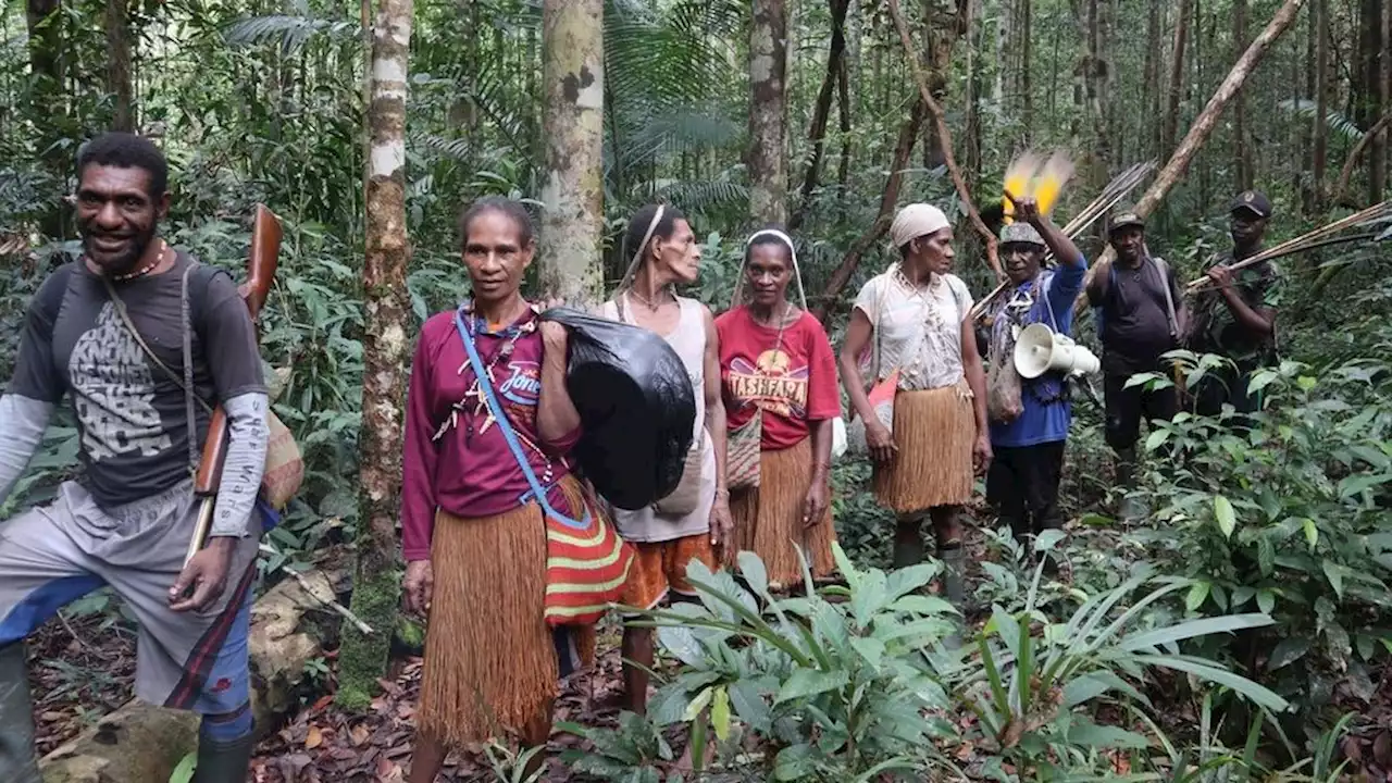 Masyarakat Adat Awyu Merasa Belum Dilibatkan dalam Pengelolaan Lahan