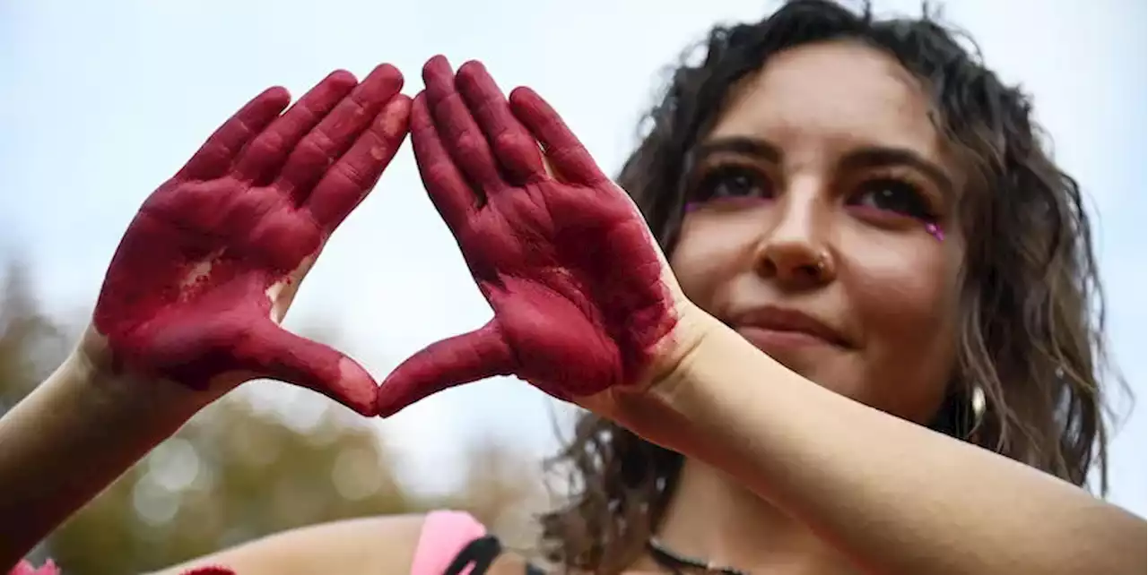 Perché al Parlamento Europeo la destra italiana si è astenuta sulla Convenzione di Istanbul - Il Post