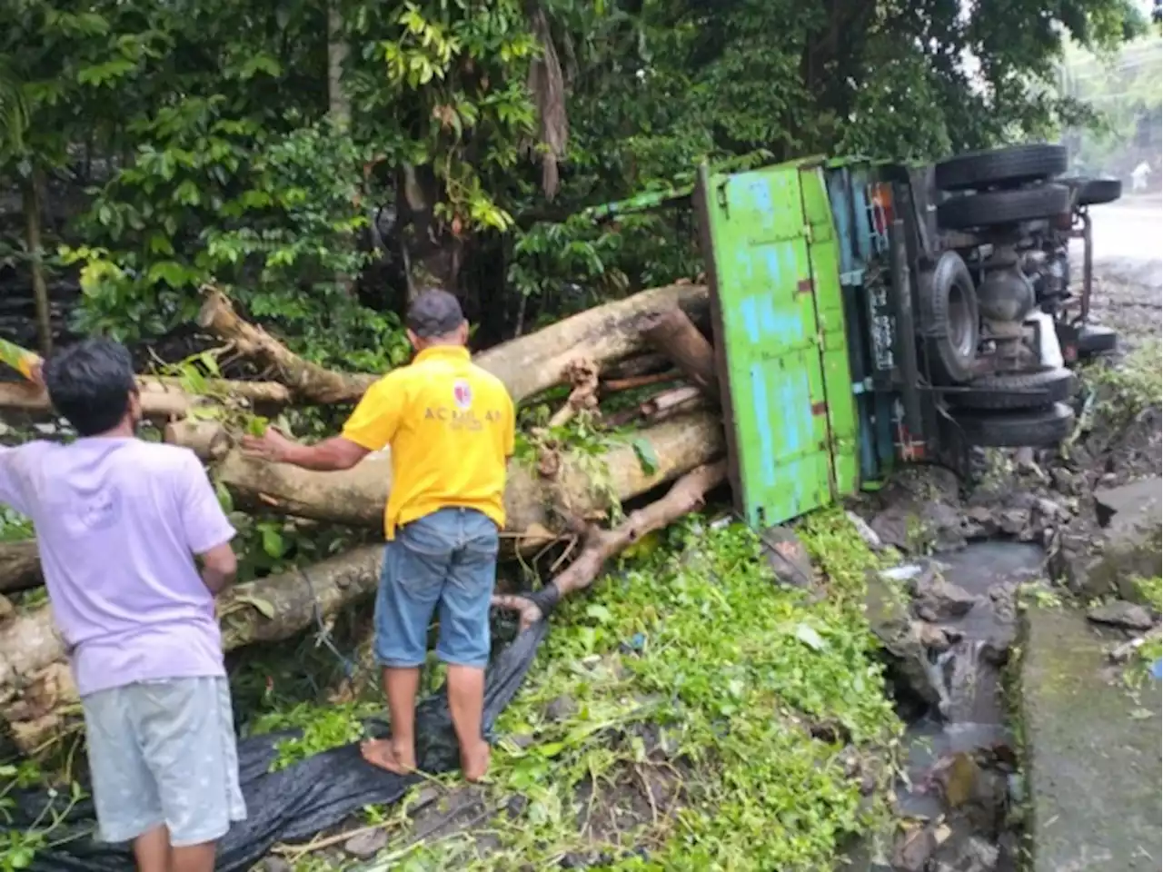 Truk Bermuatan Tanaman Hias Terguling di Jalan Tanjakan Samsam, Diduga karena Kelebihan Muatan