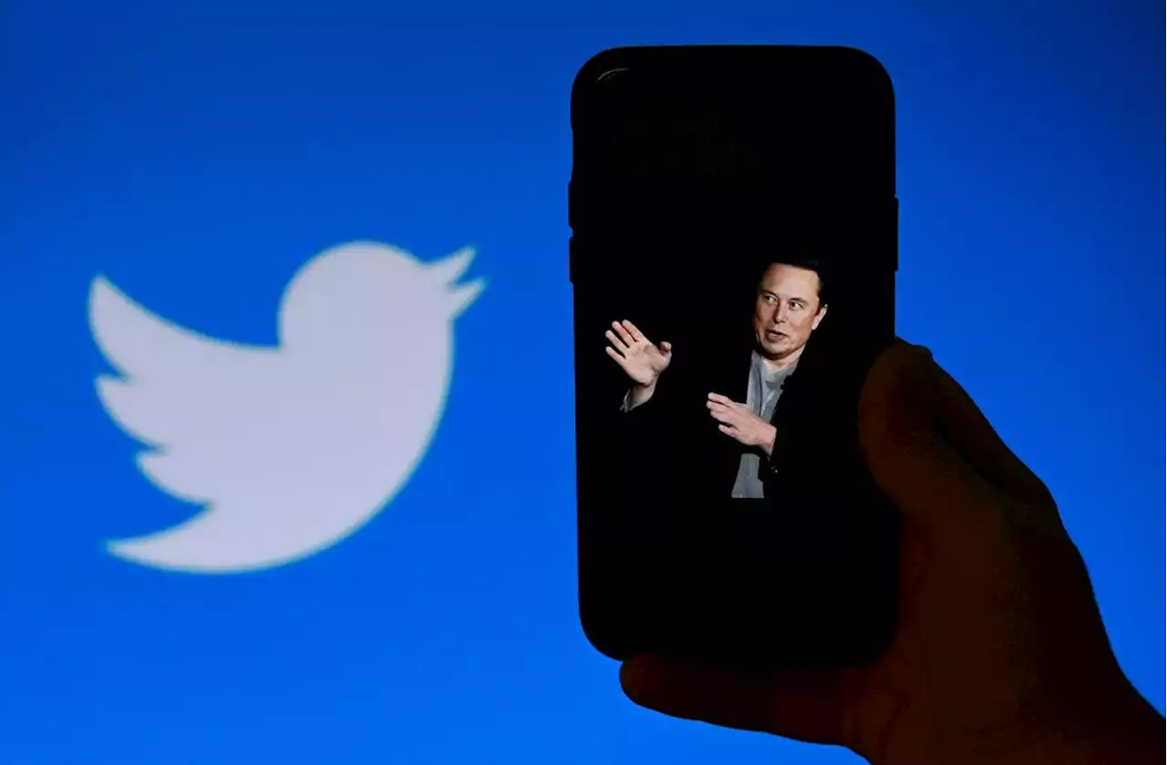 Elon Musk anuncia chamadas de áudio e vídeo no Twitter em breve