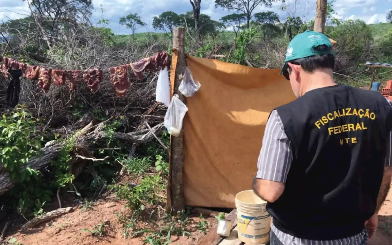 Idoso é resgatado em condição análoga à escravidão no Paraná | Brasil | O Dia