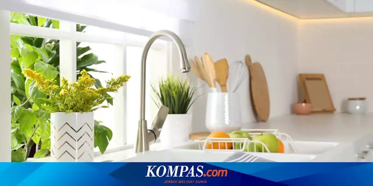 5 Tanaman Hias yang Dapat Mencerahkan Dapur