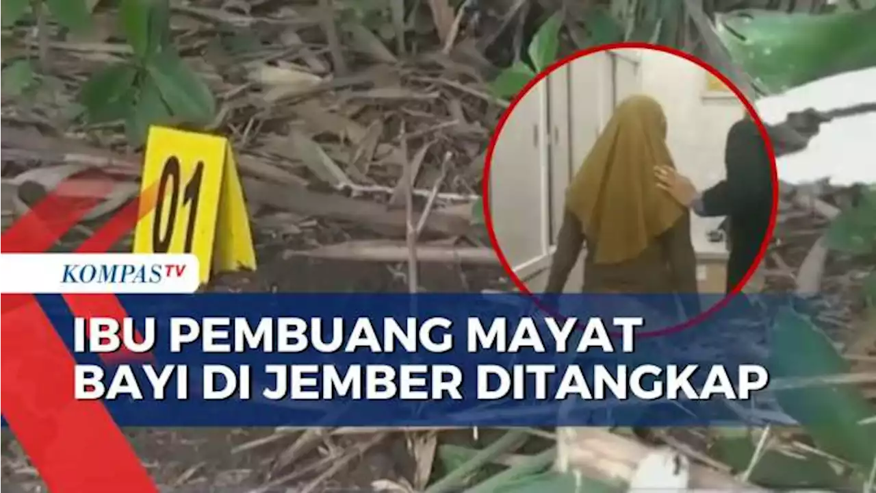 Buntut Penemuan Mayat Bayi Terbungkus Plastik di Jember, Polisi Tangkap Ibu Korban!